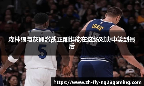 森林狼与灰熊激战正酣谁能在这场对决中笑到最后